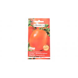 Pomidor gruntowy karłowy Awizo mieszaniec F1 0,5 g