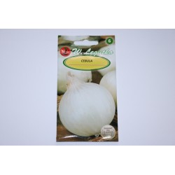 Cebula - Agostana Biała 5 g